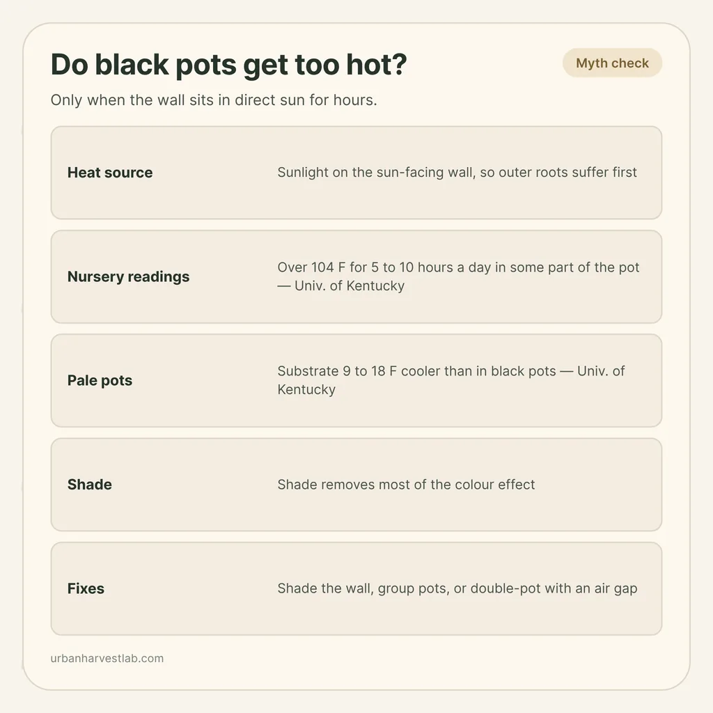 Infographic card: "Do black pots get too hot?" with rows for heat source, nursery readings, pale pots, shade and fixes