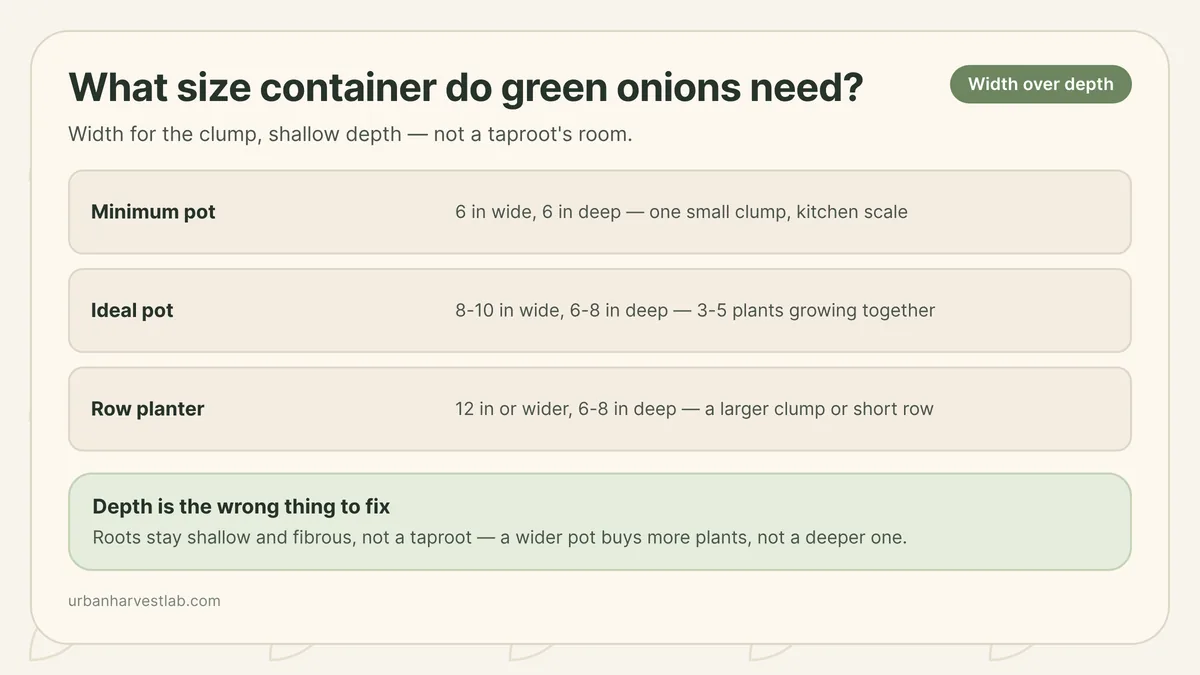 Illustration comparing a wide shallow pot of green onion clumps against a single deep pot showing the roots do not need extra depth