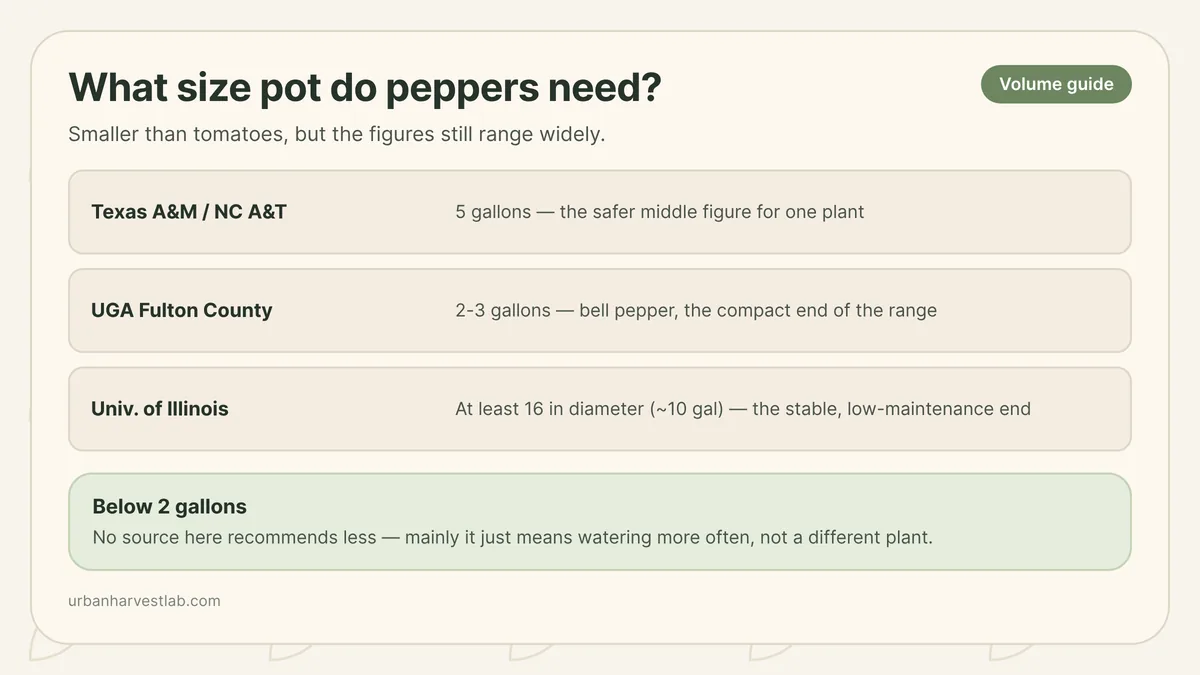 Comparison illustration of a pepper plant growing in a small pot versus a properly sized 5-gallon container