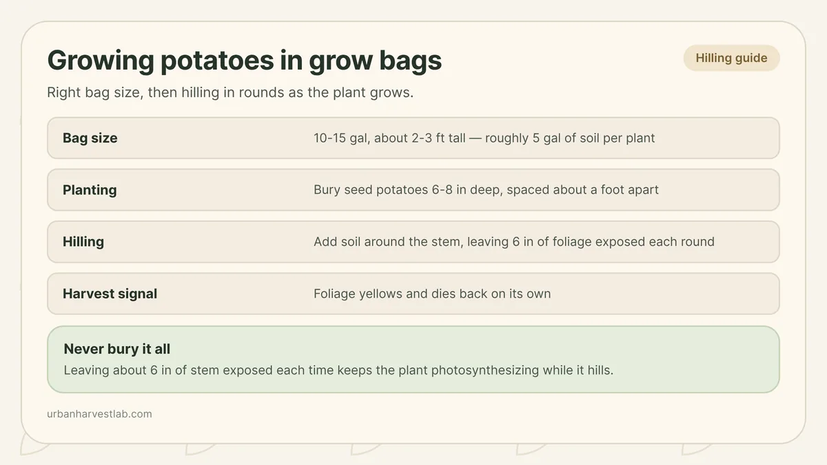 A fabric grow bag partly filled with soil, showing potato foliage emerging above the fill line with room left to hill more soil around the stem