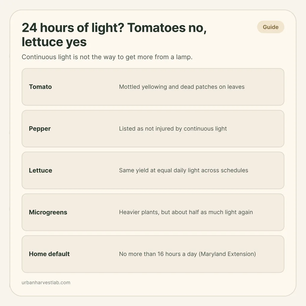 Infographic card: "24 hours of light? Tomatoes no, lettuce yes" with rows for tomato, pepper, lettuce, microgreens and the home default