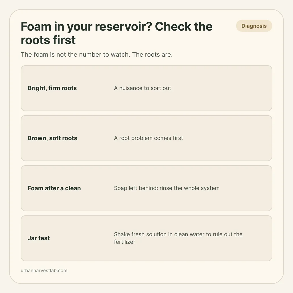 Infographic card: "Foam in your reservoir? Check the roots first" with rows for firm roots, brown roots, foam after cleaning and a jar test