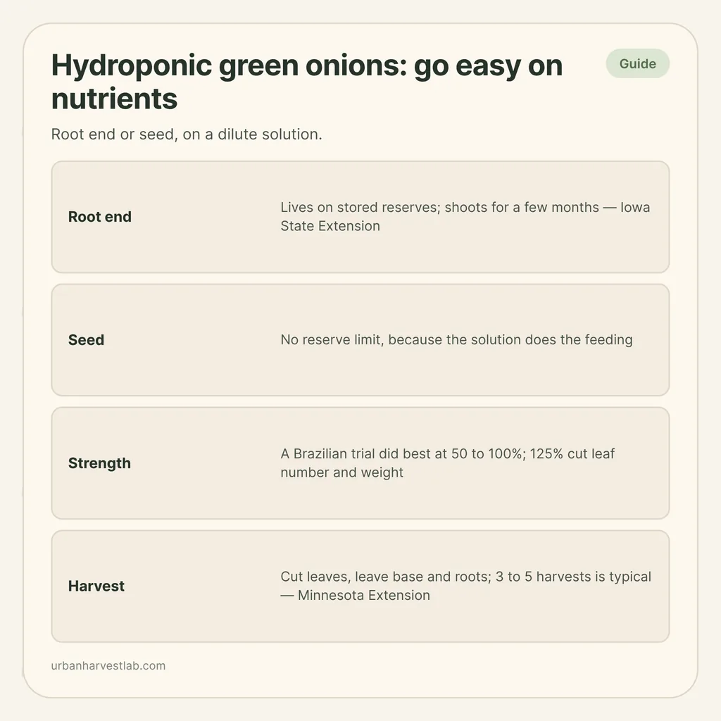 Infographic card: "Hydroponic green onions: go easy on nutrients" with rows for root end, seed, strength and harvest