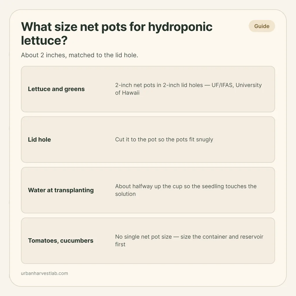 Infographic card: "What size net pots for hydroponic lettuce?" with rows for lettuce, lid hole, water level and tomatoes