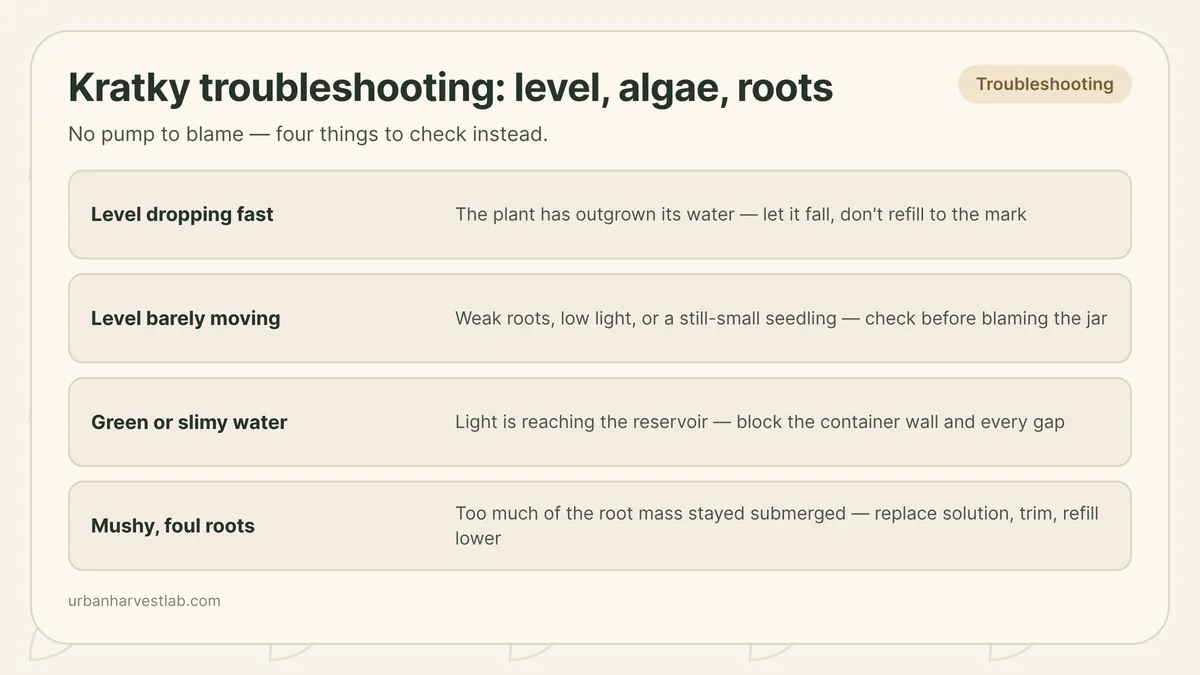 Clean UI illustration comparing a healthy Kratky jar with a falling water line and a partly exposed root mass against a failing jar with a green-tinted reservoir and roots submerged to the net pot