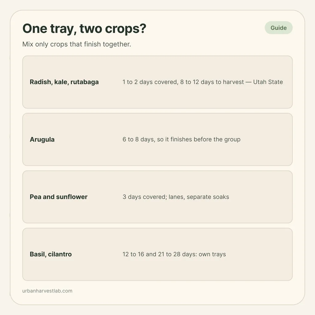 Infographic card: "One tray, two crops?" with rows for radish and kale, arugula, pea and sunflower, basil and cilantro