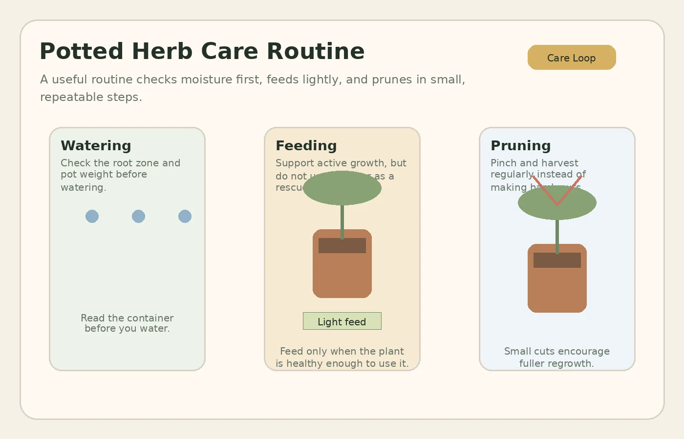 Educational overview showing a simple routine for watering, feeding, and pruning potted herbs