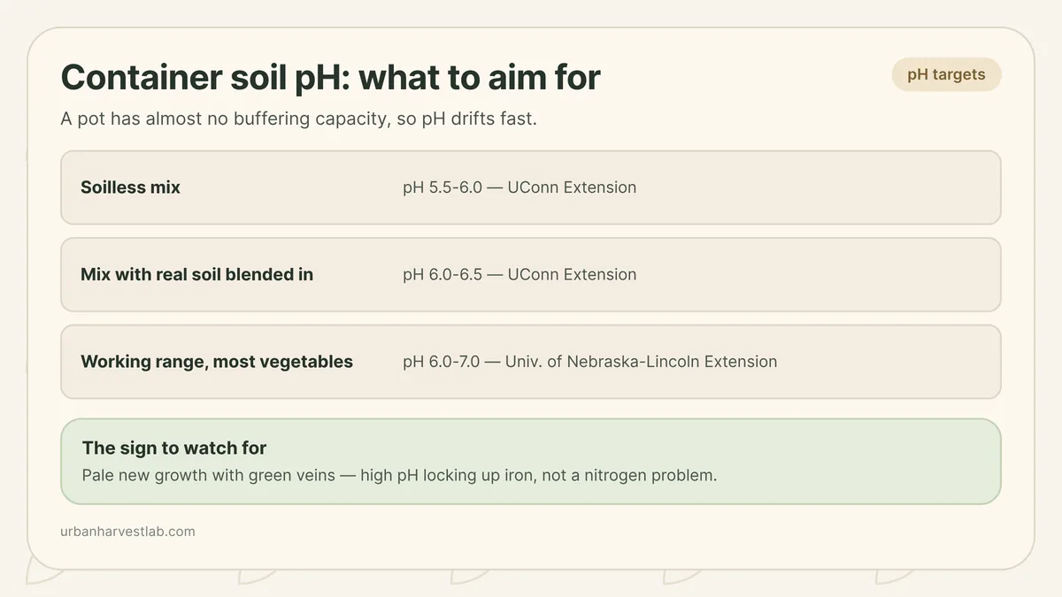 A soil pH meter probe inserted into potting mix in a plastic container