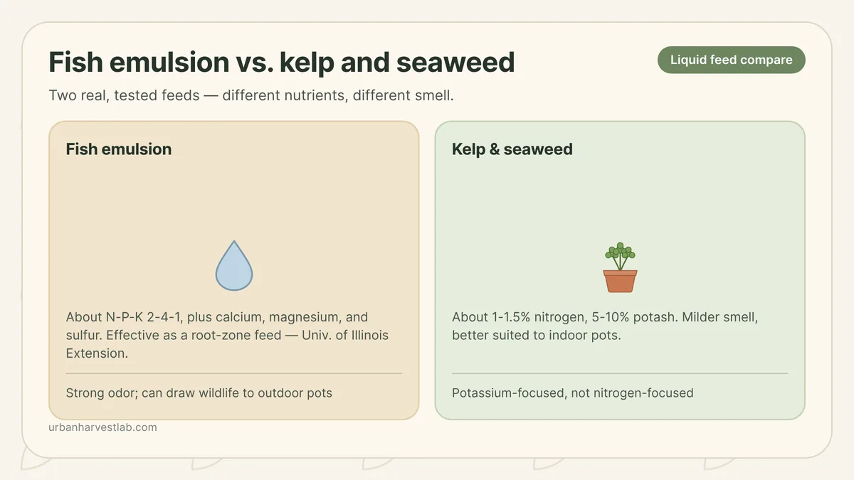 A bottle of liquid fish emulsion fertilizer and a jar of dried kelp beside a potted herb