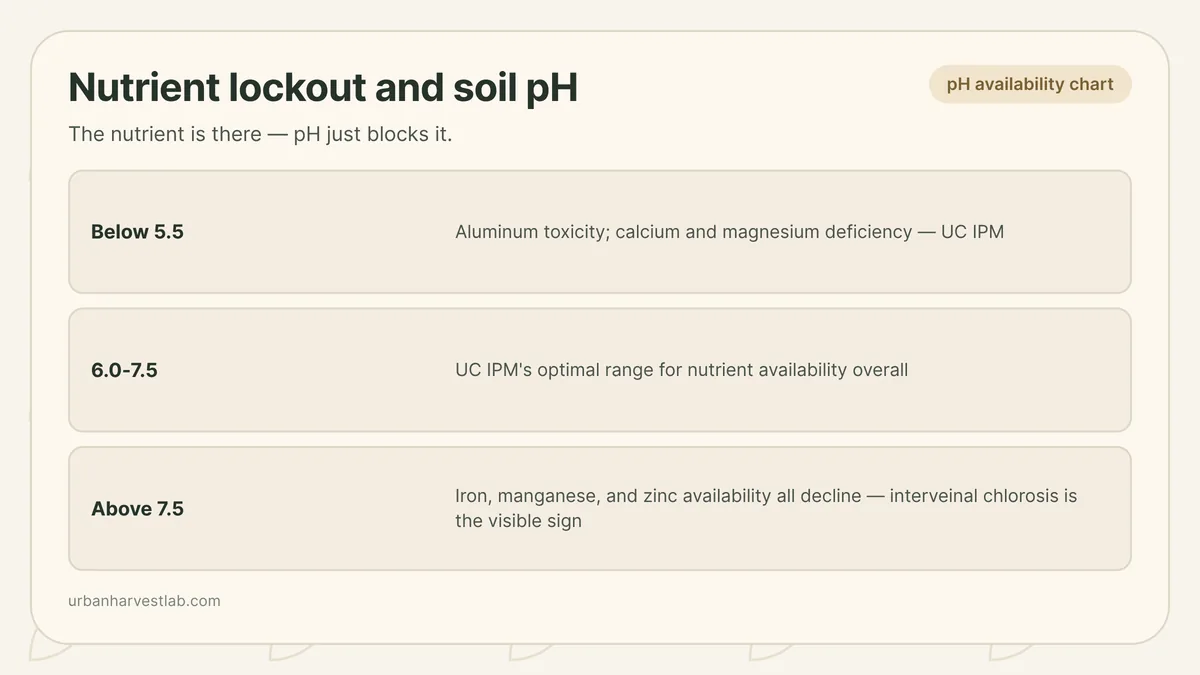 Chart showing nutrient availability narrowing at low and high soil pH, with iron lockout highlighted at the high end