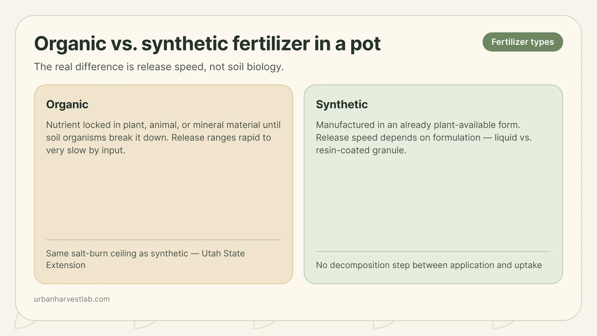 Granular synthetic fertilizer beside bone meal, kelp meal, and compost representing organic versus synthetic feed for a potted plant