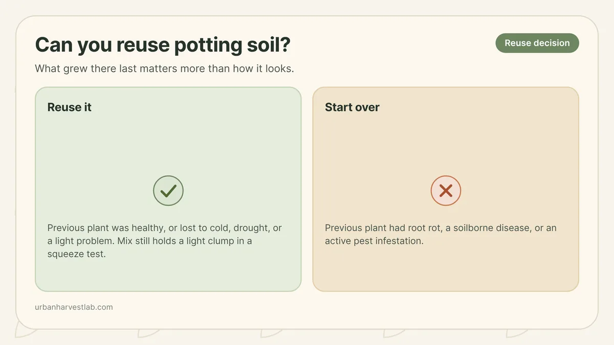 A gardener tipping spent potting mix out of an emptied pot to inspect it before deciding whether to reuse it