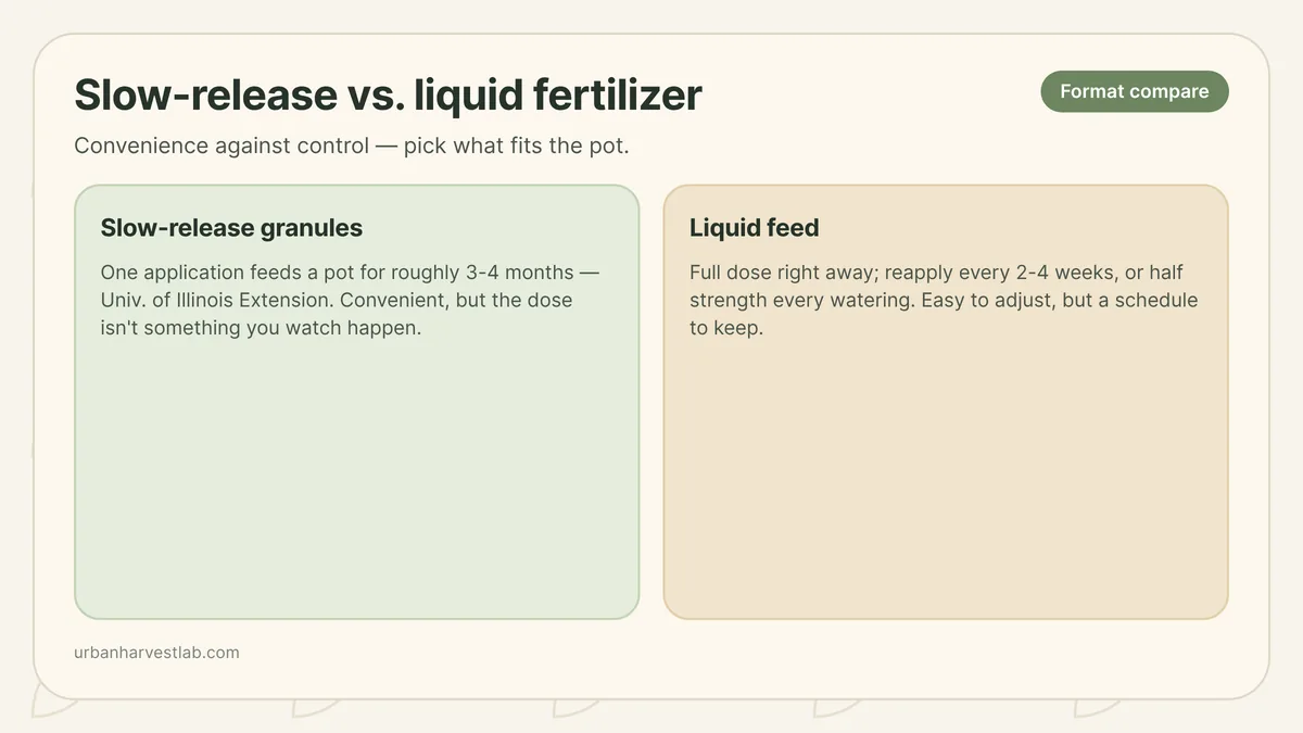 Granular slow-release fertilizer prills beside a watering can mixing liquid feed for a potted vegetable