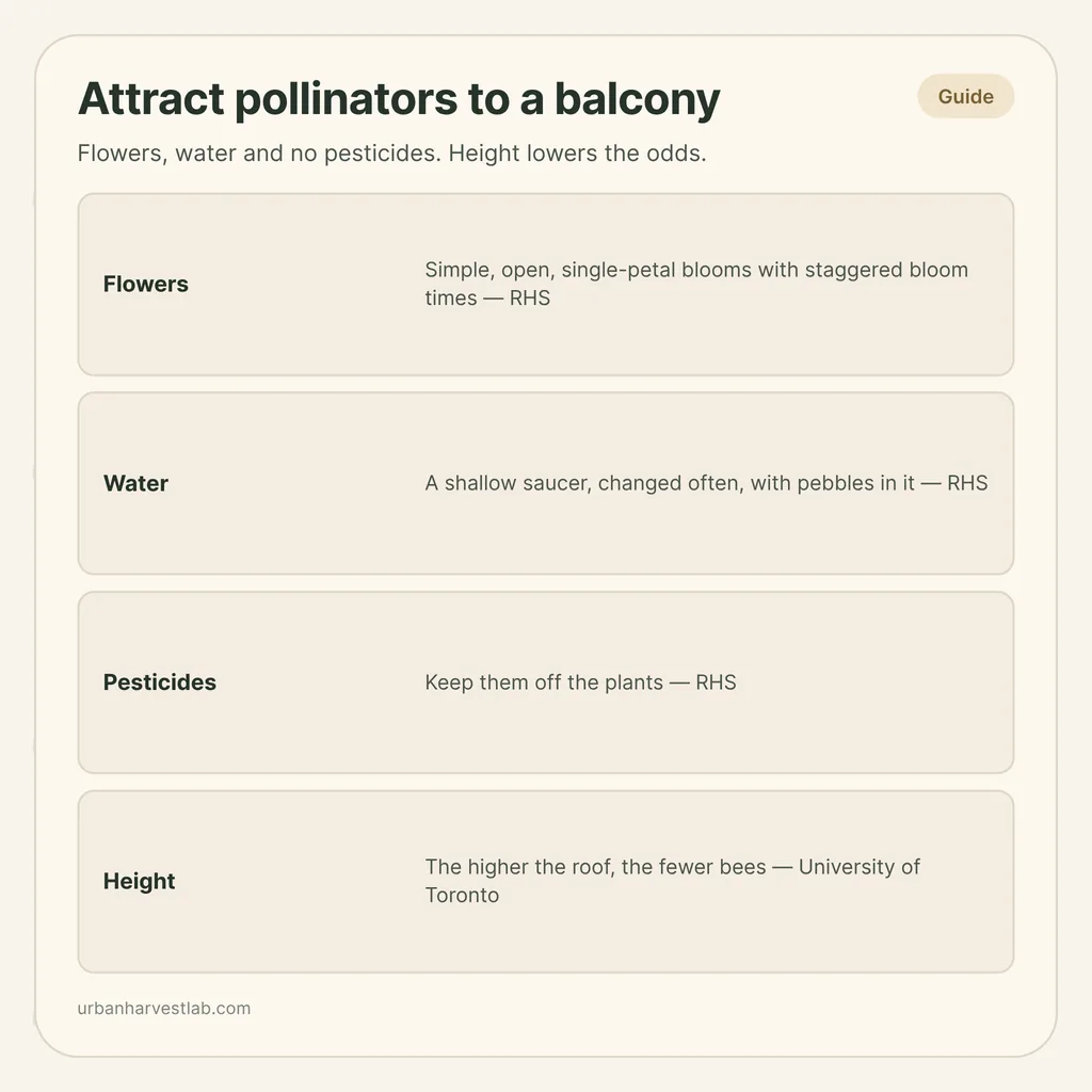 Infographic card: "Attract pollinators to a balcony" with rows for flowers, water, pesticides and height