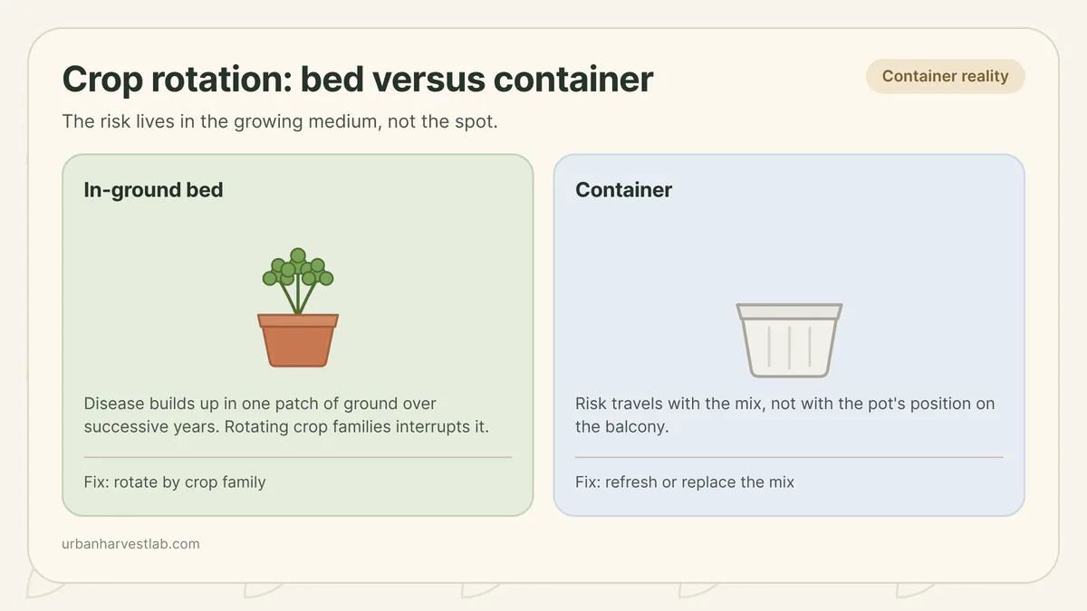 Several containers holding different vegetables lined up next to a bag of fresh potting mix