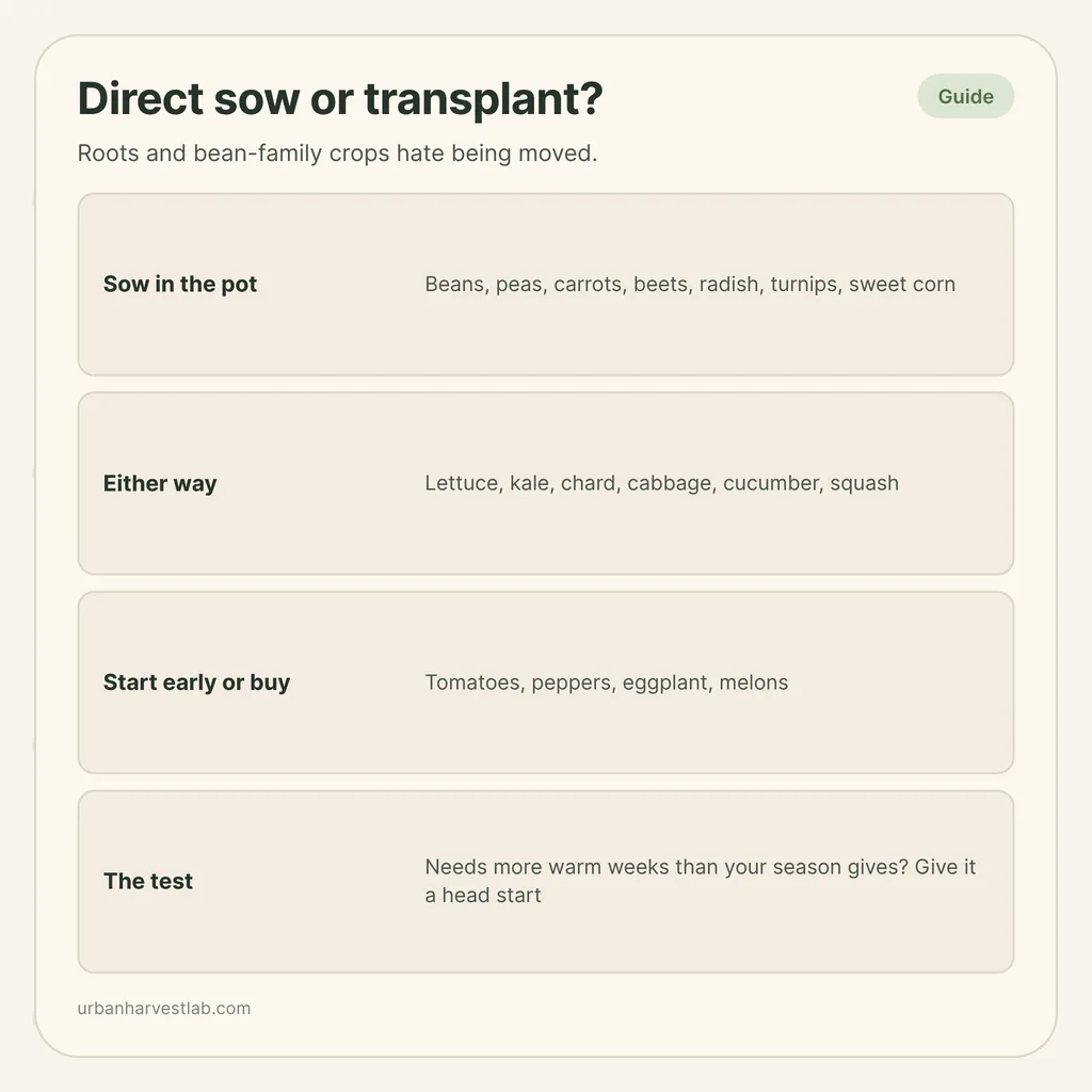 Infographic card: "Direct sow or transplant?" with three columns of vegetables sorted by sow in the pot, either way, and start early